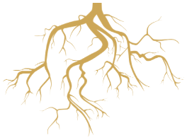 Kueva root mark